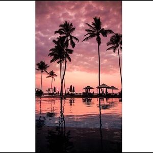 Meet your Posher, Maya